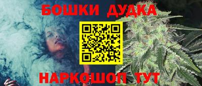 СК Дубна