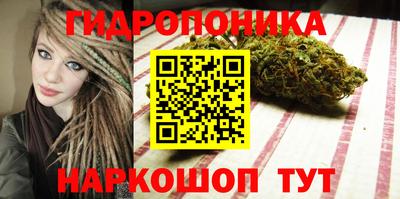 СК Дубна