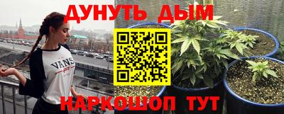 СК Дубна