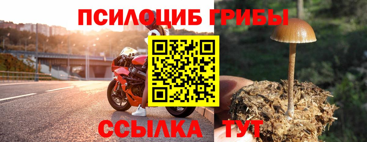 Галлюциногенные грибы GOLDEN TEACHER  Вход с VPN  Галлюциногенные грибы мухоморы  Кумертау 